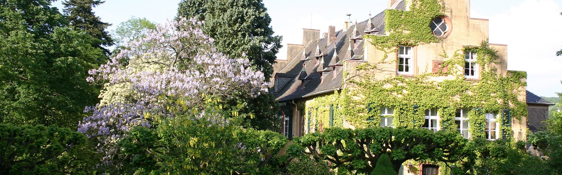 Maximin Grünhaus VDP